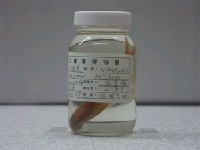 藏品(底金線魚)的圖片